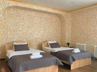 Отель Гостиница Павлодар Павлодар Двухместный номер с 2 отдельными кроватями и видом на город-1